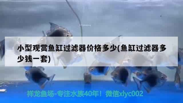 原平市文殊庄天天鱼缸鱼具店 全国水族馆企业名录 第1张