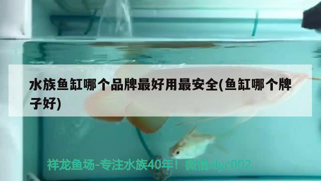 水族鱼缸哪个品牌最好用最安全(鱼缸哪个牌子好)