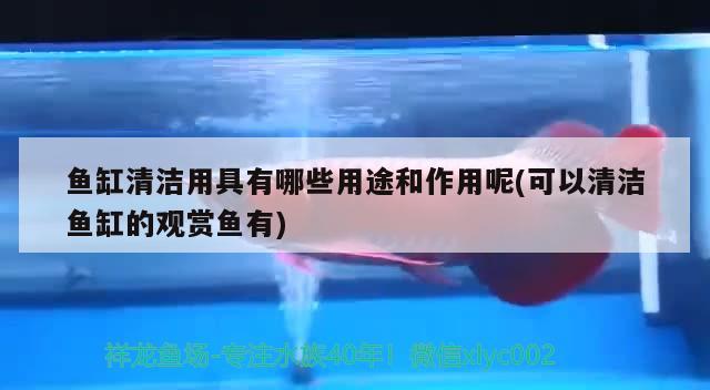 黄州哪有水族鱼缸卖呀电话：鄂州哪里有卖鱼缸的