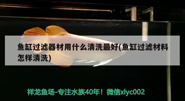 鱼缸过滤器材用什么清洗最好(鱼缸过滤材料怎样清洗) 红勾银版鱼