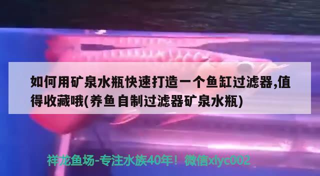 如何用矿泉水瓶快速打造一个鱼缸过滤器,值得收藏哦(养鱼自制过滤器矿泉水瓶)