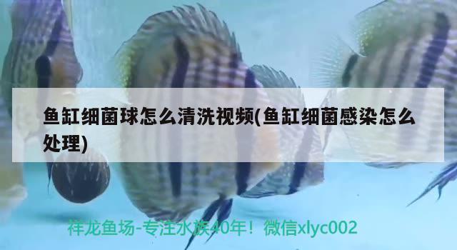 鱼缸风水位，鱼缸摆在客厅的什么位置好，哪些位置不能摆放 鱼缸风水 第1张