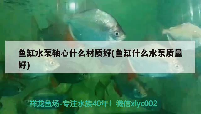 鱼缸水泵轴心什么材质好(鱼缸什么水泵质量好)