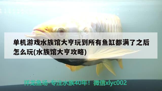 单机游戏水族馆大亨玩到所有鱼缸都满了之后怎么玩(水族馆大亨攻略)