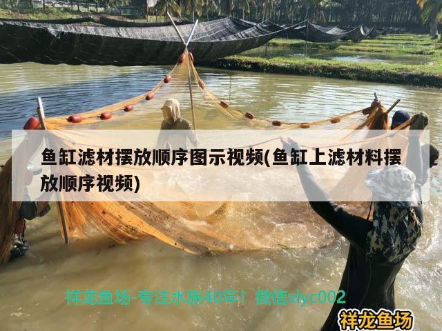 鱼缸滤材摆放顺序图示视频(鱼缸上滤材料摆放顺序视频)