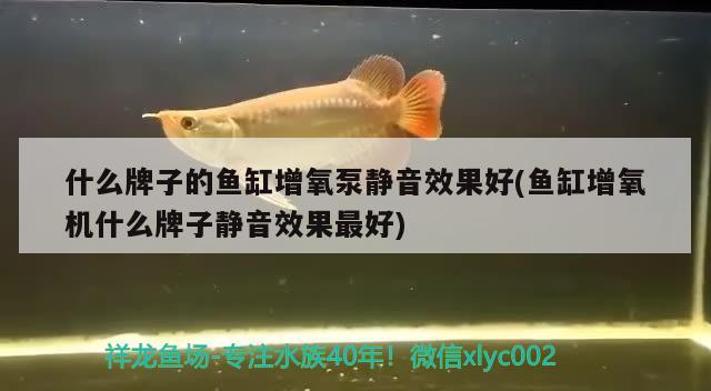 鱼缸水浑浊放什么药(鱼缸水浑浊加什么药) 鱼缸清洁用具