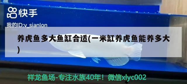 盘古杯世界龙鱼锦标赛获奖(盘古杯世界龙鱼锦标赛获奖名单) 温控设备 第2张