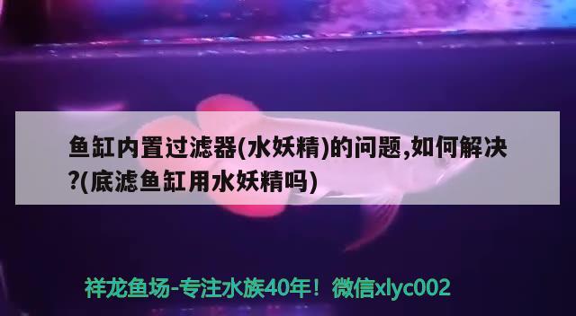 鱼缸内置过滤器(水妖精)的问题,如何解决?(底滤鱼缸用水妖精吗)