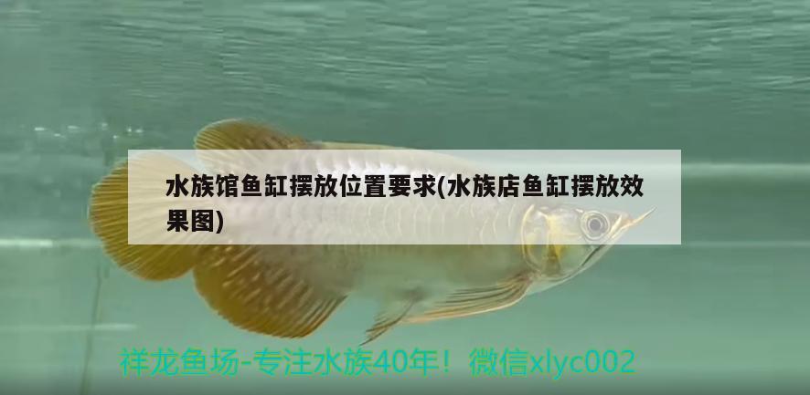 水族馆鱼缸摆放位置要求(水族店鱼缸摆放效果图)