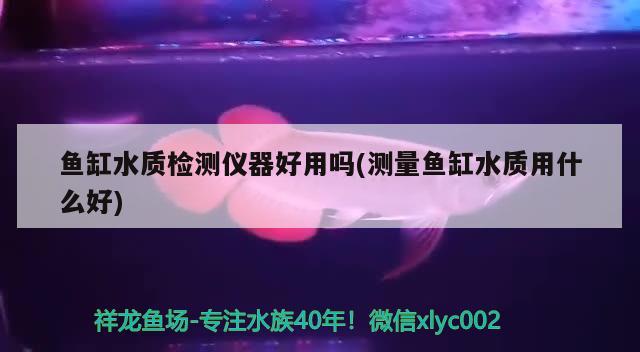 鱼缸水质检测仪器好用吗(测量鱼缸水质用什么好) 水族灯（鱼缸灯）