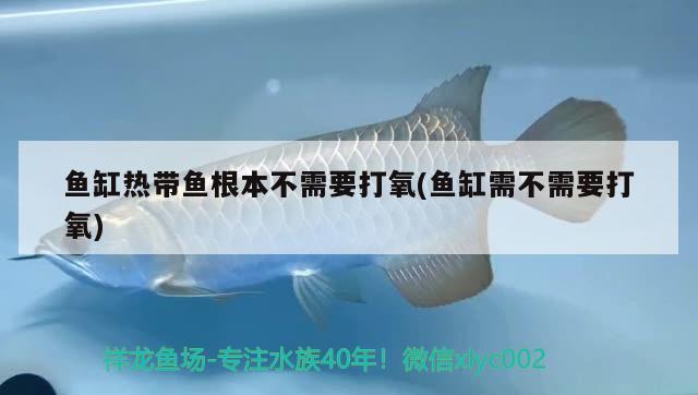 辽源水族馆的简单介绍