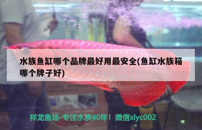 水族鱼缸哪个品牌最好用最安全(鱼缸水族箱哪个牌子好) 鱼缸/水族箱