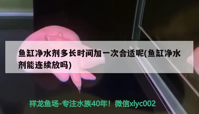 鱼缸净水剂多长时间加一次合适呢(鱼缸净水剂能连续放吗) 锦鲤池鱼池建设