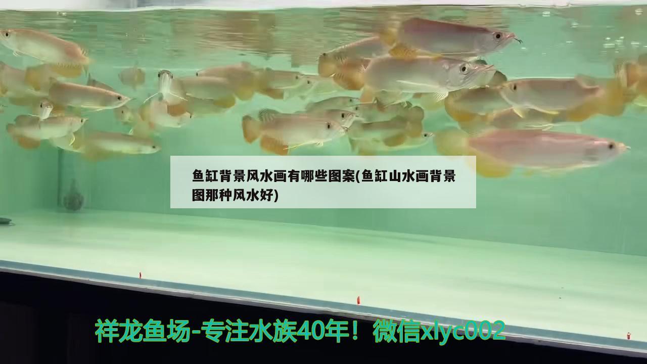 鱼缸背景风水画有哪些图案(鱼缸山水画背景图那种风水好)