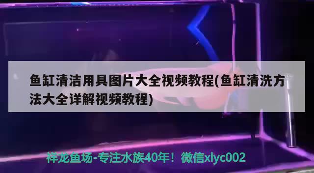 鱼缸清洁用具图片大全视频教程(鱼缸清洗方法大全详解视频教程) 斑马狗头鱼