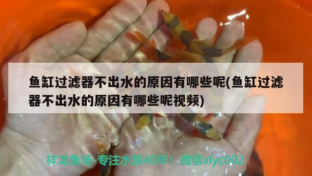 鱼缸品牌哪个好索一怎么样：我想买个一米左右的鱼缸，请问什么牌子比较好，大概多少钱 养鱼的好处 第1张