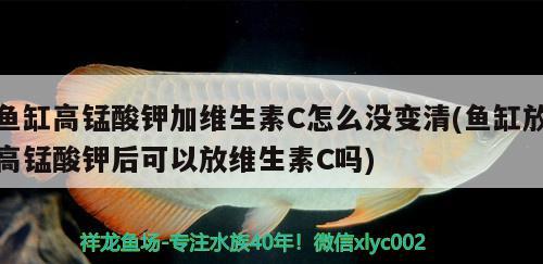 鱼缸水泵进水口方向：鱼缸水泵进气管出水的原因 鱼缸水泵 第2张