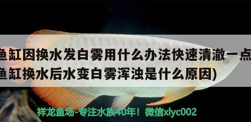 创星水族箱有哪些生产厂家，观赏鱼哪里买便宜