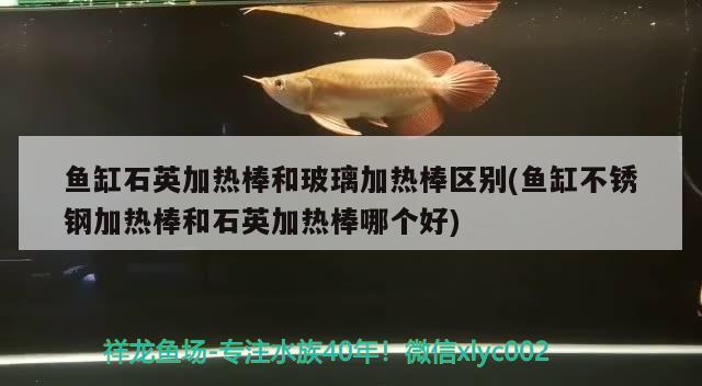 鱼缸石英加热棒和玻璃加热棒区别(鱼缸不锈钢加热棒和石英加热棒哪个好)