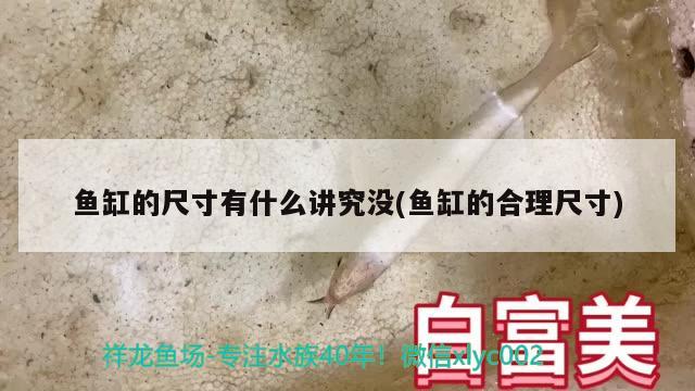 鱼缸的尺寸有什么讲究没(鱼缸的合理尺寸) 虎鱼鱼苗