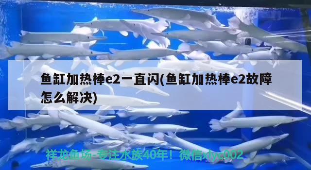 鱼缸加热棒e2一直闪(鱼缸加热棒e2故障怎么解决) 短身红龙鱼