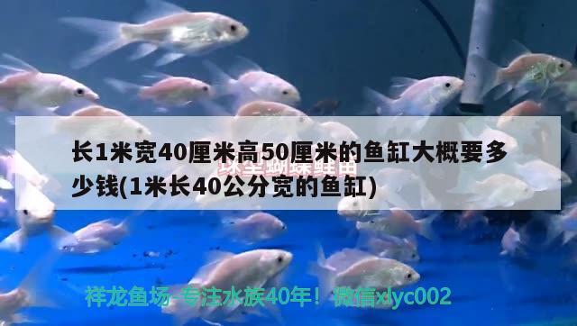 长1米宽40厘米高50厘米的鱼缸大概要多少钱(1米长40公分宽的鱼缸)