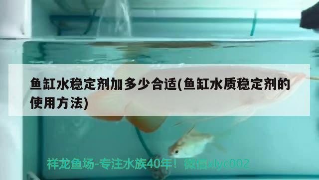 鱼缸水稳定剂加多少合适(鱼缸水质稳定剂的使用方法) 红老虎鱼