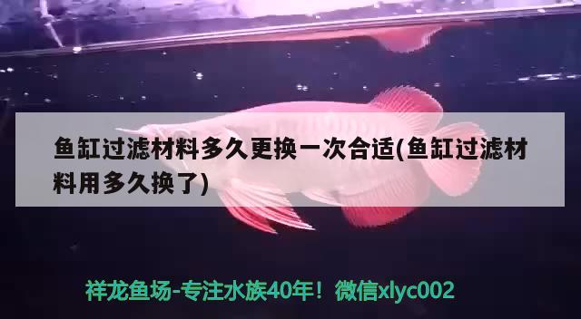 鱼缸过滤材料多久更换一次合适(鱼缸过滤材料用多久换了)