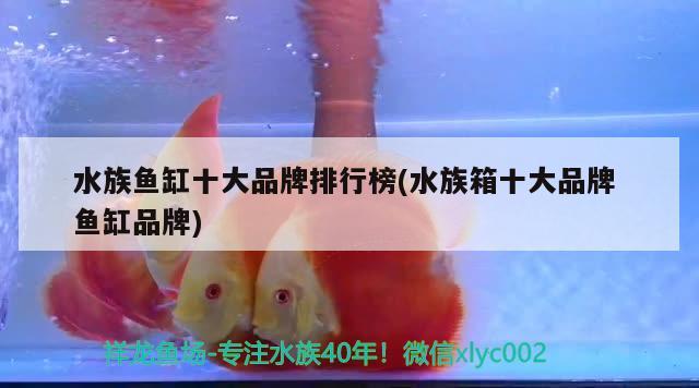 水族鱼缸十大品牌排行榜(水族箱十大品牌鱼缸品牌) 鱼缸/水族箱