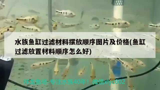 水族鱼缸过滤材料摆放顺序图片及价格(鱼缸过滤放置材料顺序怎么好) 过背金龙鱼