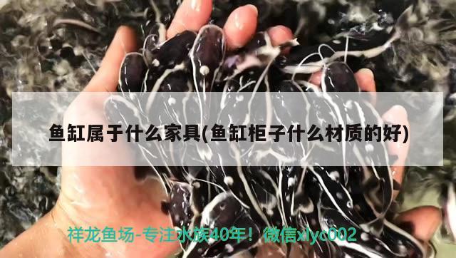 鱼缸属于什么家具(鱼缸柜子什么材质的好) 罗汉鱼