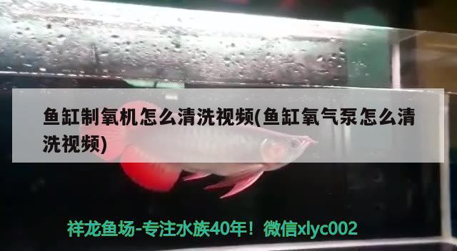 鱼缸制氧机怎么清洗视频(鱼缸氧气泵怎么清洗视频)