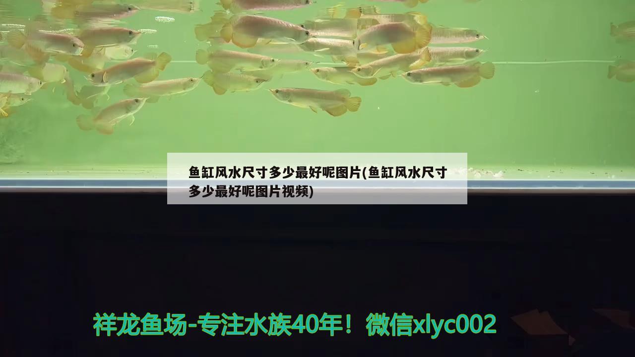 鱼缸风水尺寸多少最好呢图片(鱼缸风水尺寸多少最好呢图片视频) 鱼缸风水