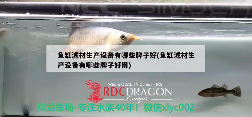 巢湖水族批发市场：哪位老大知道這是什麼蟲？ 观赏鱼水族批发市场 第4张