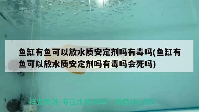 鱼缸有鱼可以放水质安定剂吗有毒吗(鱼缸有鱼可以放水质安定剂吗有毒吗会死吗)