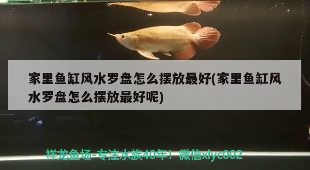 家里鱼缸风水罗盘怎么摆放最好(家里鱼缸风水罗盘怎么摆放最好呢)