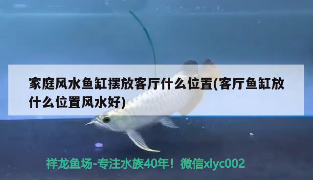 家庭风水鱼缸摆放客厅什么位置(客厅鱼缸放什么位置风水好) 鱼缸风水