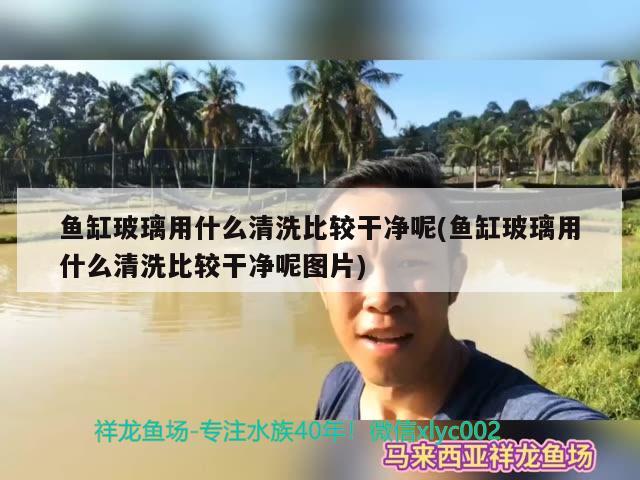 鱼缸需要什么设备好(鱼缸需要什么设备好用) 南美异型鱼