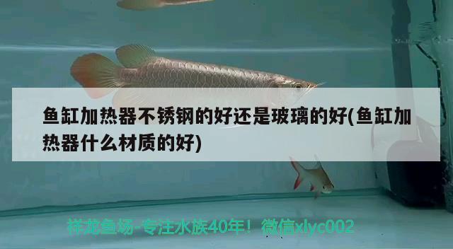 鱼缸加热器不锈钢的好还是玻璃的好(鱼缸加热器什么材质的好)