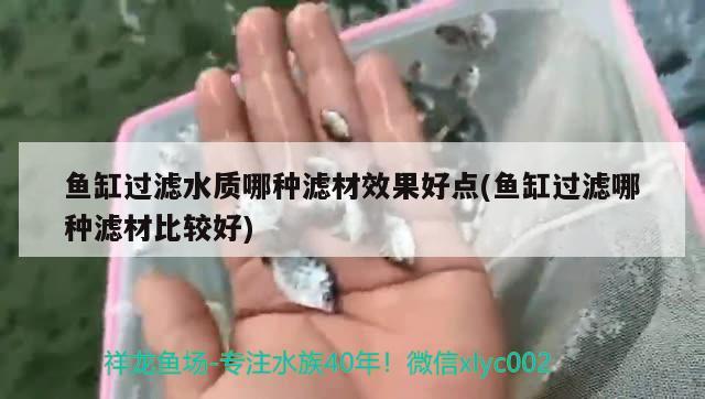 鱼缸过滤水质哪种滤材效果好点(鱼缸过滤哪种滤材比较好)