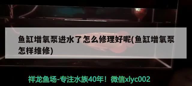 包头鱼缸批发市场地址在哪儿：包头鱼缸哪里便宜 广州水族批发市场 第1张