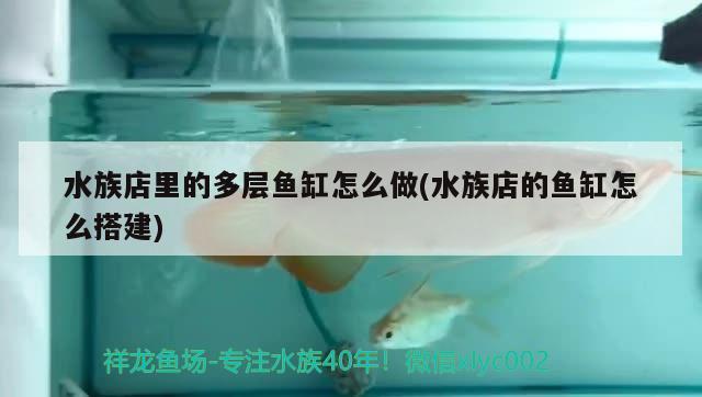 水族店里的多层鱼缸怎么做(水族店的鱼缸怎么搭建)