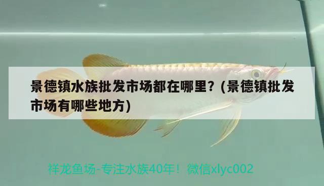 景德镇水族批发市场都在哪里？(景德镇批发市场有哪些地方) 观赏鱼水族批发市场