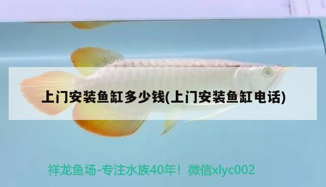 精品观赏鱼推荐（精品观赏鱼推荐品种） 祥龙水族医院 第1张