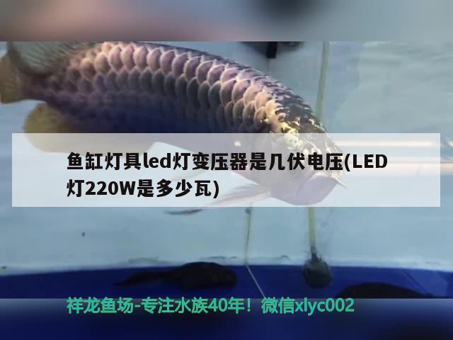 鱼缸灯具led灯变压器是几伏电压(LED灯220W是多少瓦) 祥龙水族滤材/器材