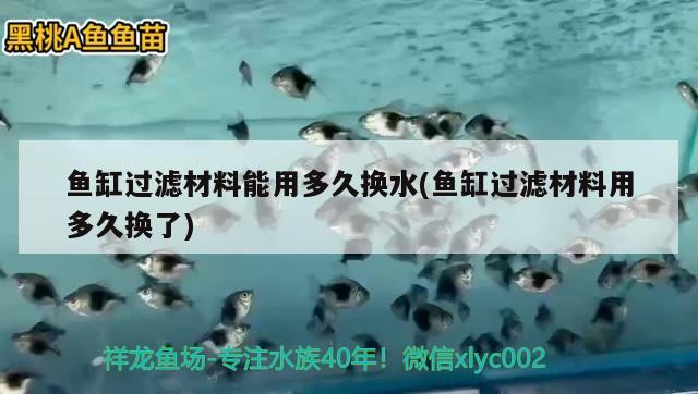 鱼缸过滤材料能用多久换水(鱼缸过滤材料用多久换了) 红勾银版鱼