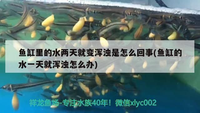 鲤城区招财水族用品店 水族用品 第1张