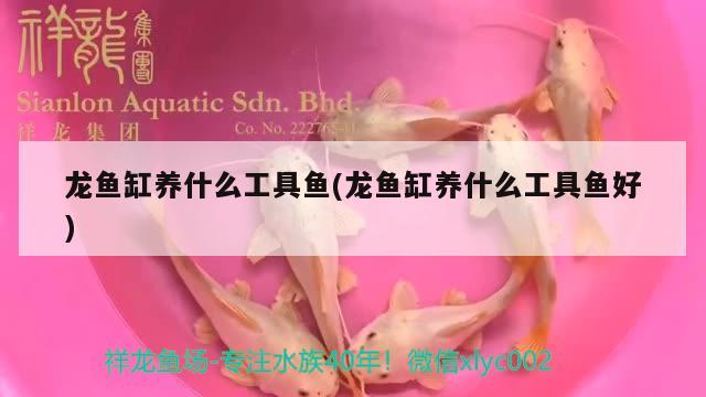 养银龙鱼水质怎么处理的呢(银龙鱼用什么水养)