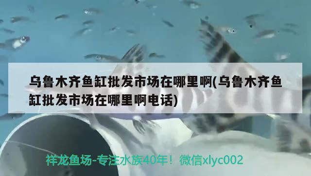 红龙鱼什么背景好（养金龙鱼龙缸底色应什么颜色啊好啊高手给指） 奈及利亚红圆点狗头 第2张