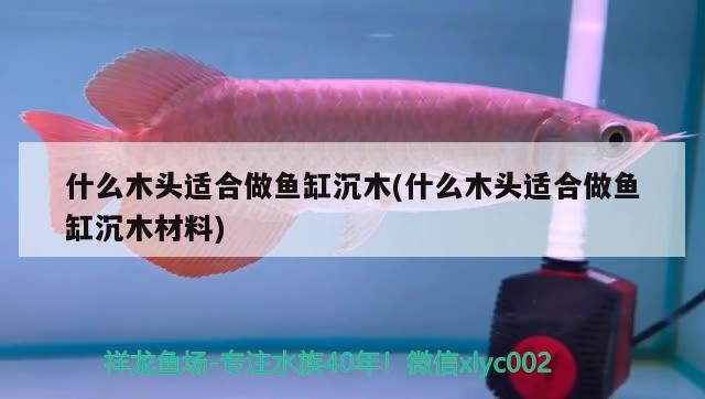 鱼缸二氧化碳对人体有害吗视频：鱼缸二氧化碳对人体有害吗视频 二氧化碳设备 第1张